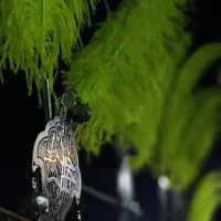 علم ۱۷ تیغ درجه یک|عمده‌فروشی|شاهین‌شهر, گزبرخوار|دیوار