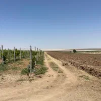 ۴ هکتار باغ و زمین برجاده بین‌المللی مهاباد ارومیه|فروش دفتر صنعتی، کشاورزی، تجاری|نقده, |دیوار