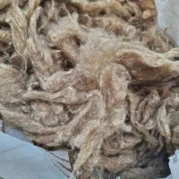 فروش پشم گوسفندی شسته شده باشویند،تاید،وریکا