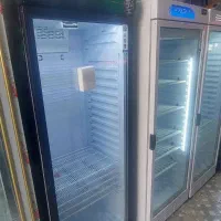 یخچال صنعتی|فروشگاه و مغازه|فسا, |دیوار