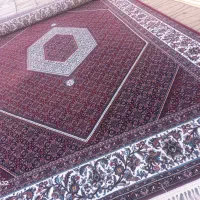 ۱تخته ۱۲متری ریز ماهی افشار