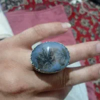 شجر قواره بزرگ درحد گل مشکی زنده معاوظه