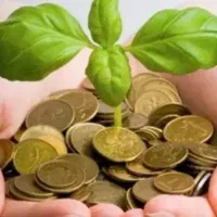 نیازمند ضامن با رتبه A و B با چک دیجیتال