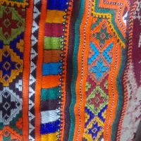 زیح بزرگسال شش ستاره فروشی