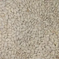 حبوبات پردیس|خوردنی و آشامیدنی|مبارکه, |دیوار