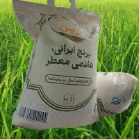 برنج هاشمی میر علی کاظمی