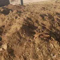 کود خشک نرمه