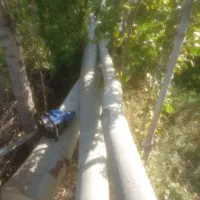 خریدار چوب تر و خشک|خدمات باغبانی و درختکاری|چالدران, |دیوار