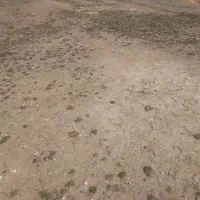 دسته کارگر دارم