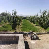 باغ ۱۸۰۰متری با آب دهدق شهرک گلستان|فروش زمین و ملک کلنگی|آباده, |دیوار