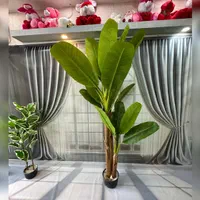 درختچه های وارداتی|گل مصنوعی|رشت, لاکان|دیوار