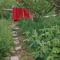 سرایدار ی باغ