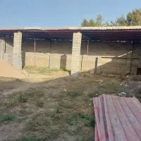 سالن بازمین محصوراجاره محدوده آرین