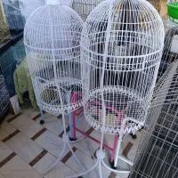 قفس گردپرنده های زینتی