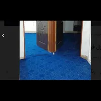 موکت در حد نو