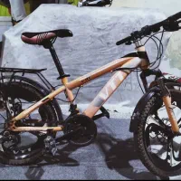 دوچرخه 20|دوچرخه، اسکیت، اسکوتر|اهواز, پردیس دو|دیوار