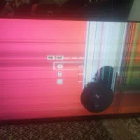 ال ایدی ۴۳ دوو