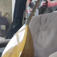 باغلاما حرفه ای سفارشی|سازهای سنتی|تبریز, |دیوار