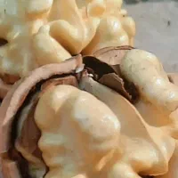 گردو با کیفیت تویسرکان پوست کاغذی|خوردنی و آشامیدنی|محمدشهر, کوی بهار|دیوار