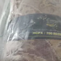 فرش نگین مشهد|فرش|شهرکرد, |دیوار