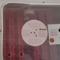 دستگاه جوجه کشی 96تایی|لوازم جانبی حیوانات|آبسرد, |دیوار