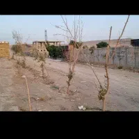 زیر قیمت منطقه/۶۰۰ متر زمین/فروش ویژه تا۱۰ مهر ماه|فروش زمین و ملک کلنگی|محمدشهر, محمدشهر|دیوار