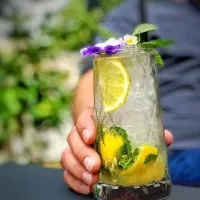 کار در کافه رستوران کارلوتا|استخدام خدمات فروشگاه و رستوران|تهران, شهرک امید|دیوار