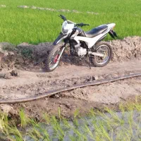 تریل‌فلات200