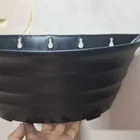 گلدان دیواری پلاستیکی|گل و گیاه طبیعی|قم, باغ پنبه|دیوار