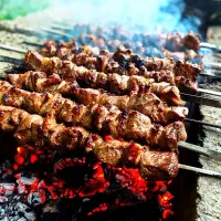 تخته کار سیار،منقل دار سیار،کباب داغِ ذغالی مهمانی