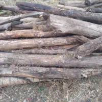 چوب برای زغال یا نئوپان