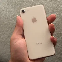 iPhone 8|موبایل|تهران, زعفرانیه|دیوار