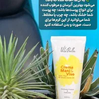 کرم جوانه گندم /ضد چروک/نمایندگی اصلی