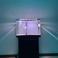 اکواریوم ۶۰در۴۰|ماهی|تهران, ویلاشهر|دیوار