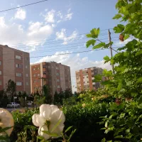 مقازه حاشیه خیابان  رسالت طرقبه