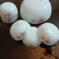 ظروف آرکوپال ، خانه وآشپزخونه خانه