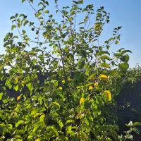 فروش-باغشهر-بوستان-اهل-بیت-صدرا