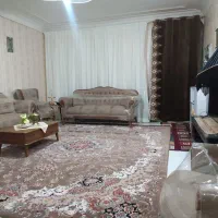 قالی  12 متری نو