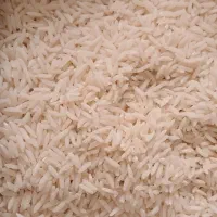 برنج هاشمی وسر لاشه هاشمی آستانه اشرفیه
