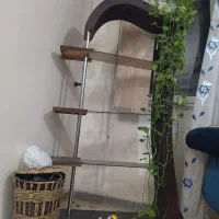 ویترین چوب و شیشه