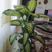 گل طبیعی