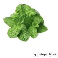 سبزی خارجی و کالاهای فرش|خوردنی و آشامیدنی|تهران, مرزداران|دیوار