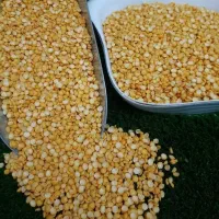 ادویه‌نخود‌لوبیا عدس قهوه چای خرما برنج‌ لپه
