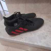 کفش سالنی|تجهیزات ورزشی|صفادشت, |دیوار