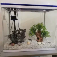 آکواریوم شرکتی