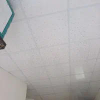 نصب سقف کاذب 60 60 pvc گچی|خدمات پیشه و مهارت|چهاردانگه (تهران), |دیوار