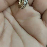 یک لنگه گوشواره گم کردیم به یابنده مژدگانی میدهیم|اشیا|قروه, |دیوار