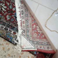 یک تخته فرش 12 متری مشهد 500 شونه تراکم بالا|فرش|ورامین, ورامین|دیوار
