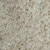 برنج هاشمی امساله