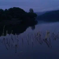 لیدر و راننده